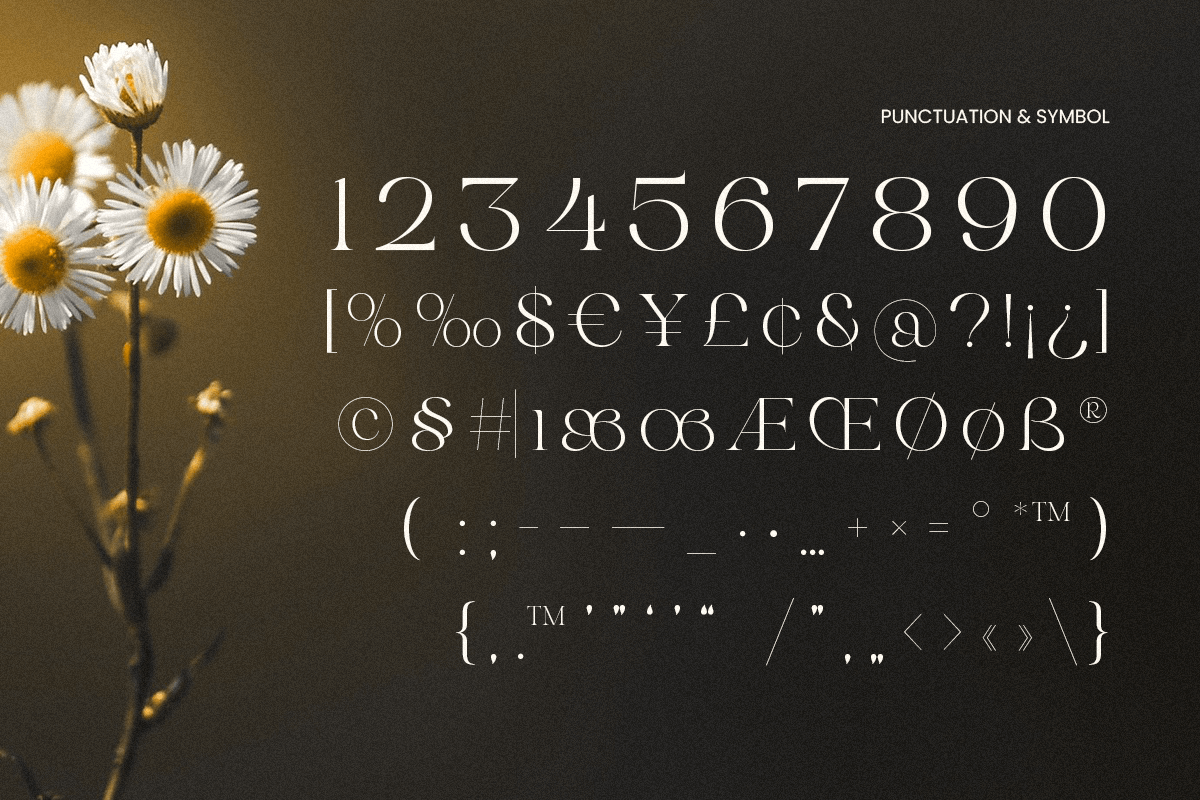 20260915031049468 20260915031049468